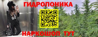 дурь Новокубанск