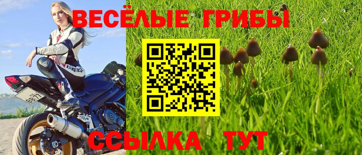 Галлюциногенные грибы MAGIC MUSHROOMS  Вход с VPN  Туапсе 